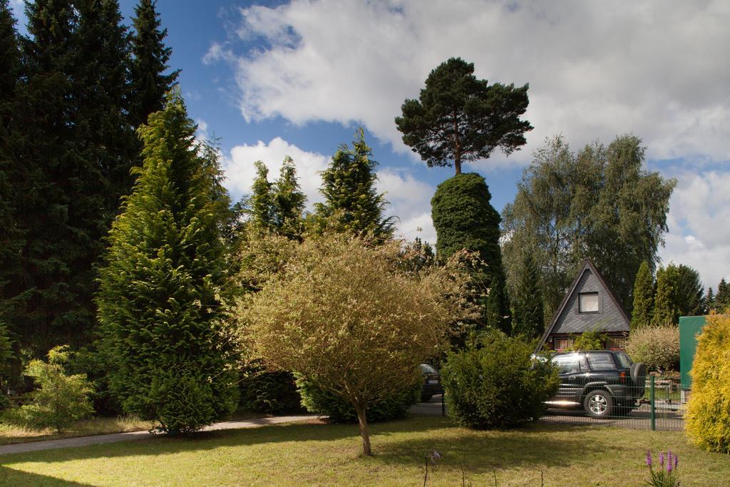 Ferienhaus Heideland Winsen Aller Villa Meißendorf Rum bild